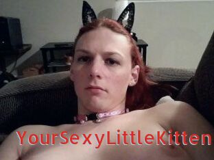 YourSexyLittleKitten Archive DVD NET