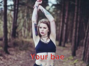 Your_bae Archive DVD NET