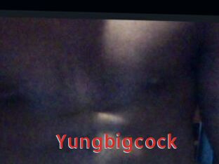 Yungbigcock