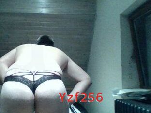 Yzf256