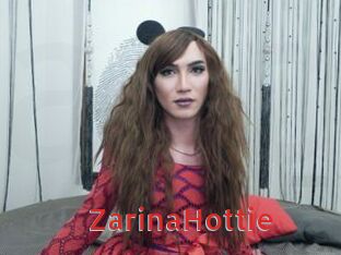 ZarinaHottie Archive DVD NET