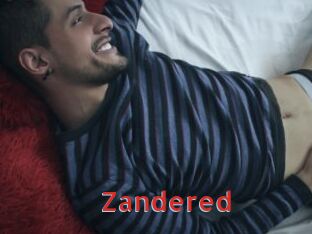 zandered Archive DVD NET