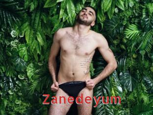 Zanedeyum