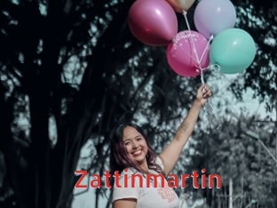 zattinmartin Archive DVD NET