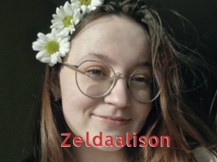 zeldaalison Archive DVD NET