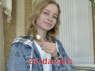 Zeldacatts